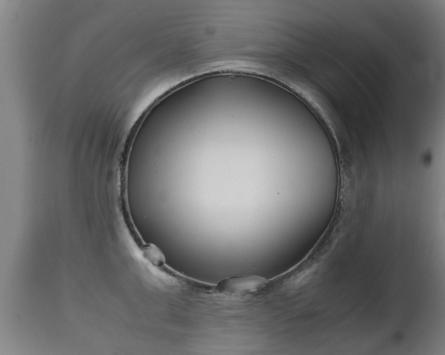X0000110930999200906251329
