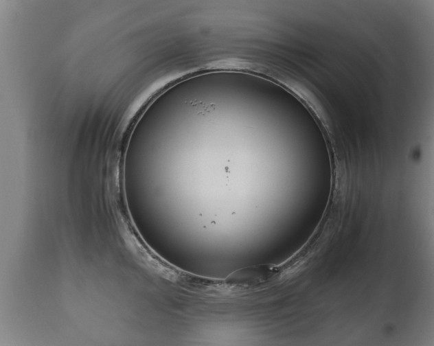 X0000110931000200906251329