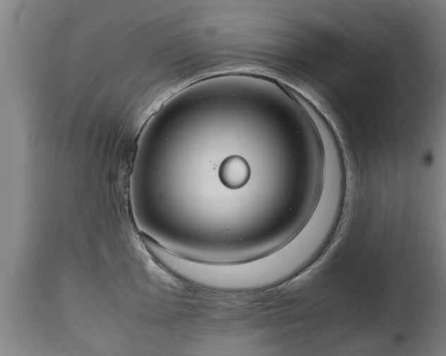X0000110931001200906251329