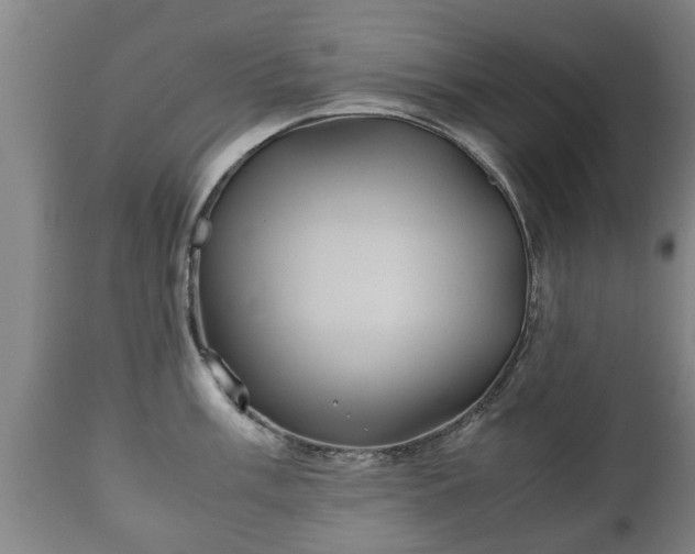 X0000110931003200906251329