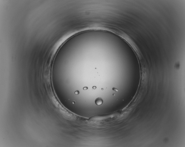 X0000110931004200906251329