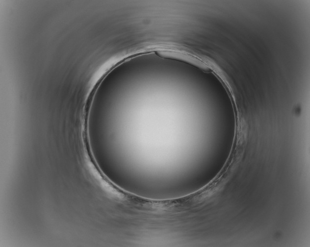 X0000110931005200906251329