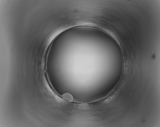 X0000110931007200906251329