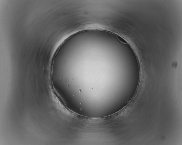 X0000110931008200906251329