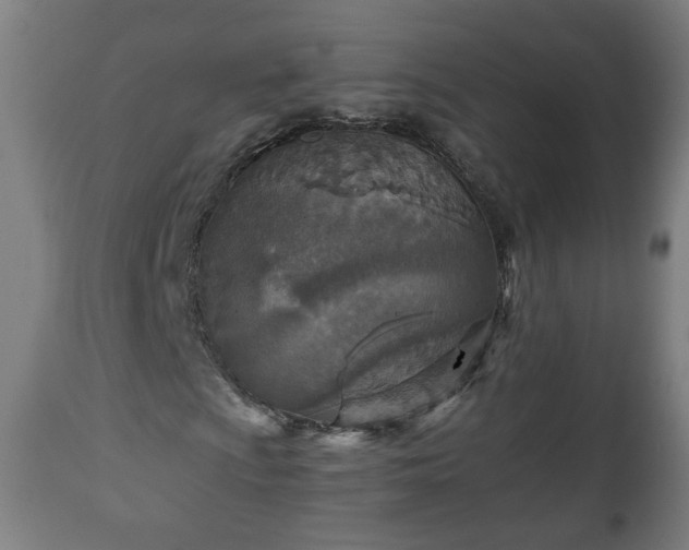 X0000110931009200906251328