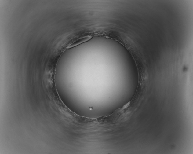 X0000110931010200906251328