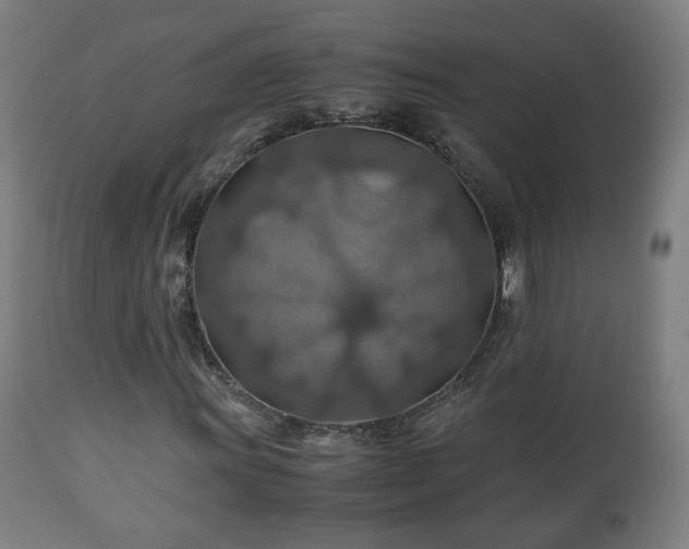 X0000110931011200906251328