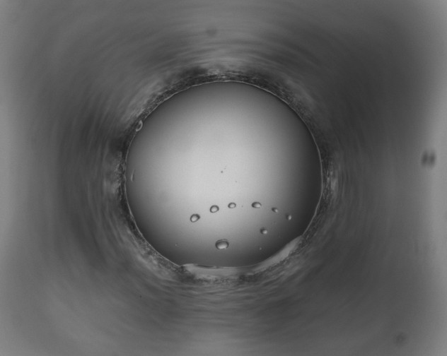 X0000110931012200906251328