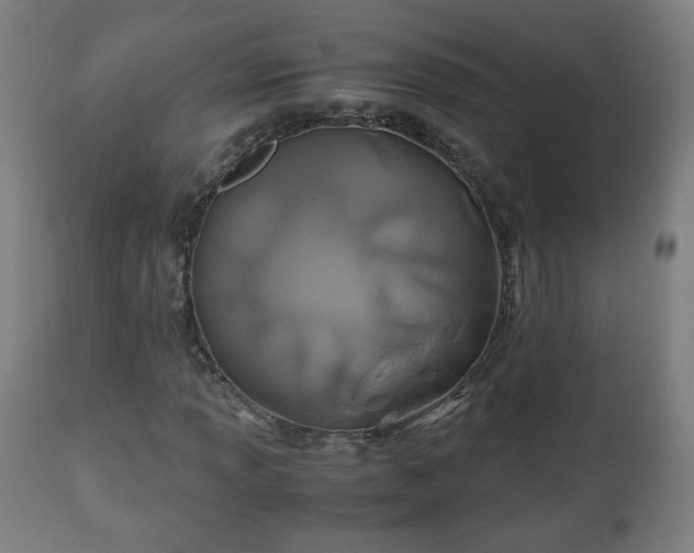 X0000110931013200906251328