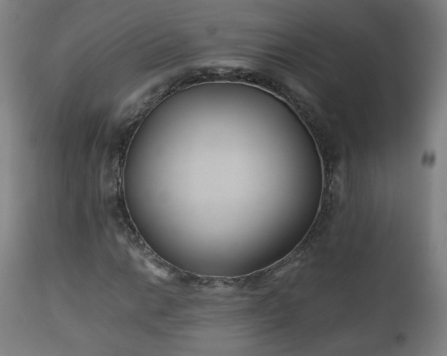X0000110931014200906251328