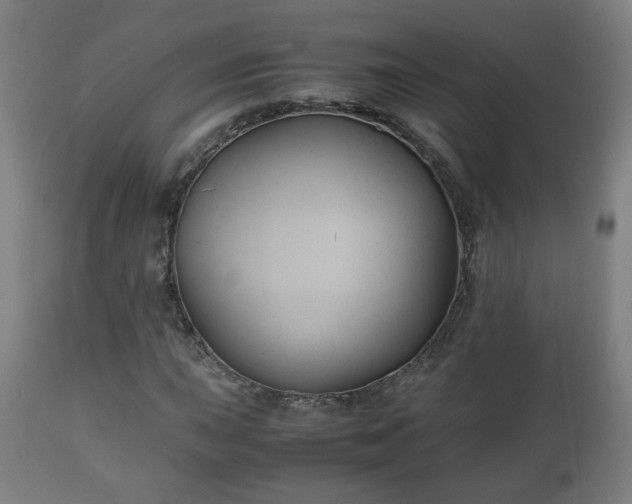X0000110931015200906251328