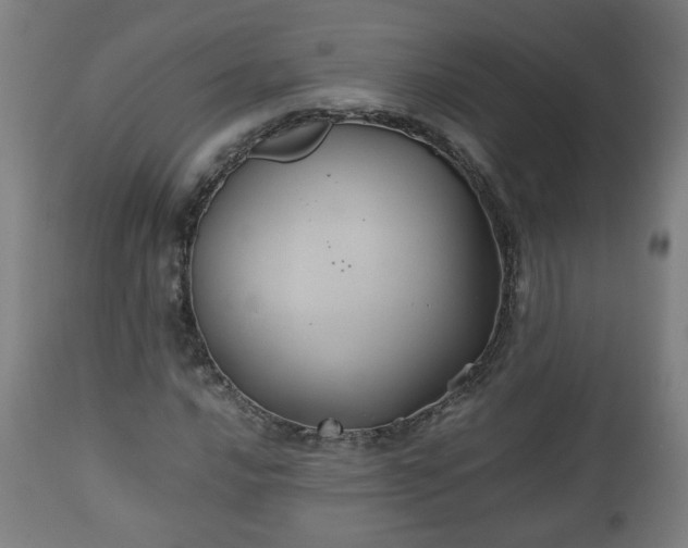 X0000110931016200906251328