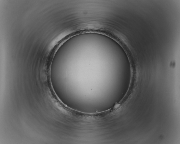 X0000110931018200906251328
