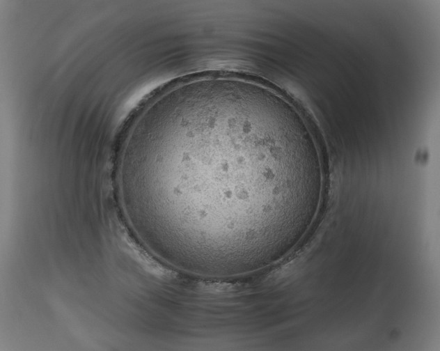 X0000110931019200906251328