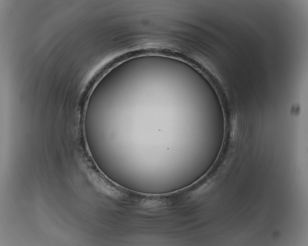 X0000110931021200906251328