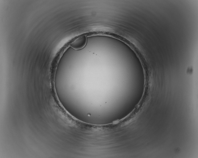 X0000110931022200906251328