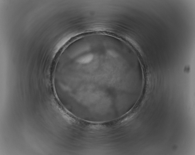 X0000110931023200906251328