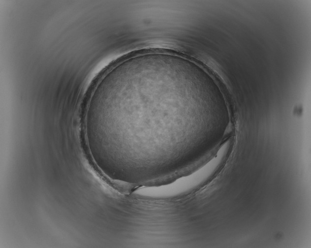 X0000110931024200906251328