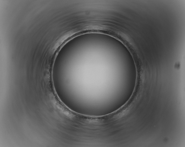 X0000110931025200906251328