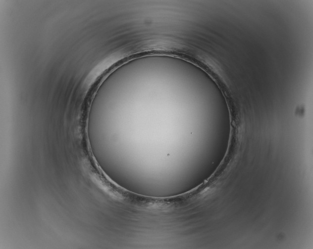 X0000110931026200906251328