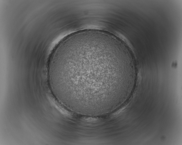 X0000110931027200906251328