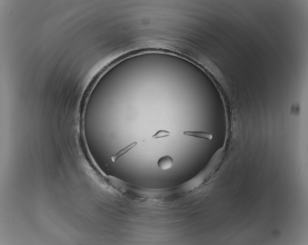 X0000110931028200906251328