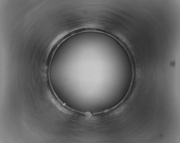 X0000110931029200906251328