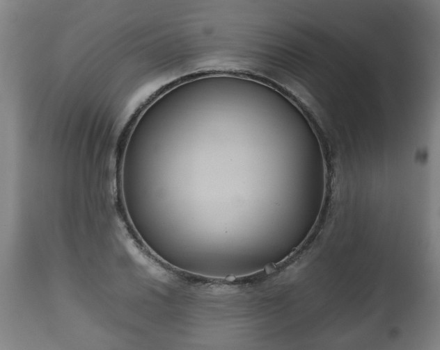X0000110931030200906251328