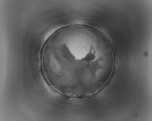 X0000110931031200906251328