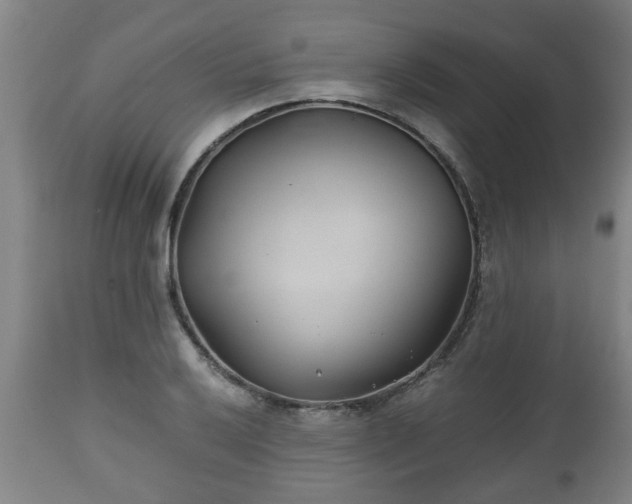X0000110931032200906251328