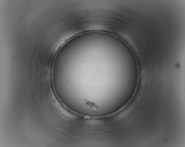 X0000110931033200906251328