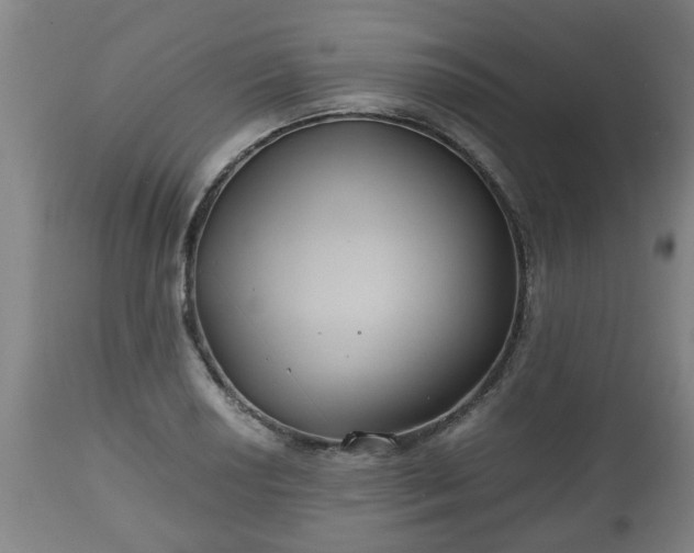 X0000110931034200906251328