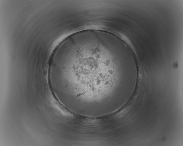 X0000110931035200906251328