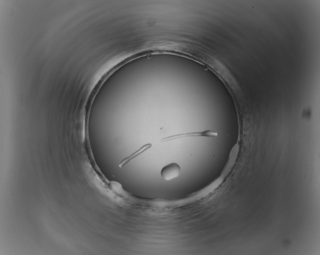 X0000110931036200906251328