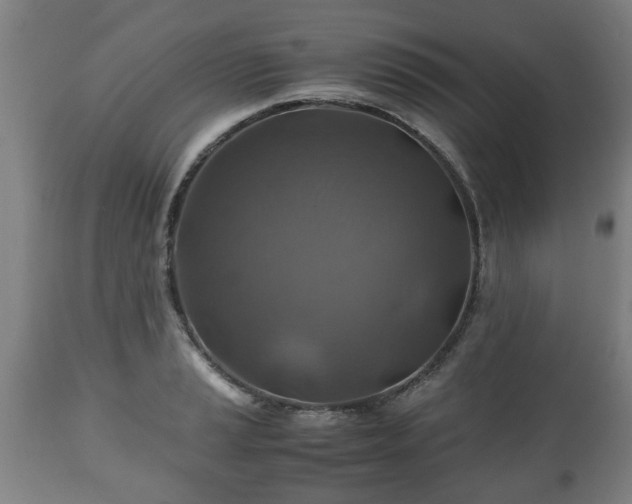 X0000110931037200906251328