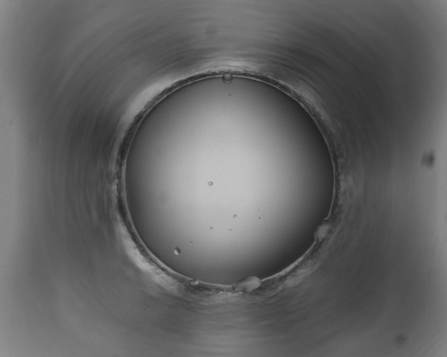 X0000110931038200906251328
