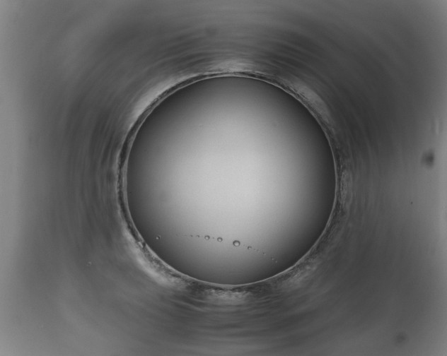 X0000110931039200906251328