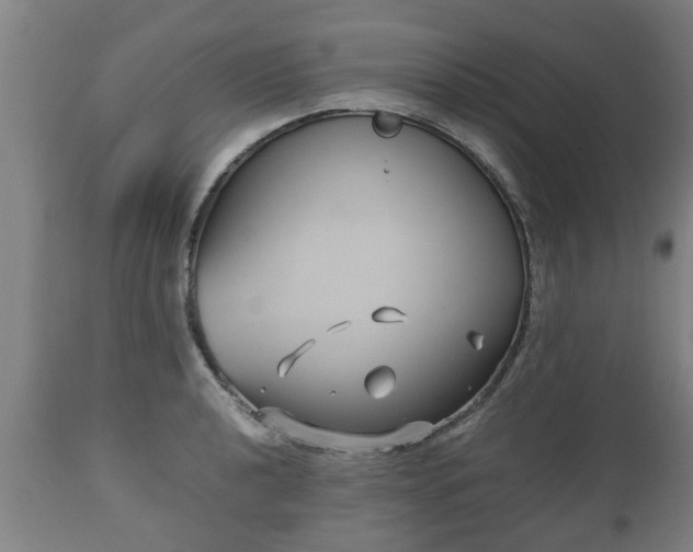 X0000110931040200906251328