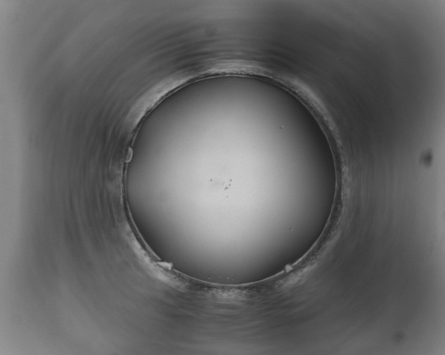 X0000110931041200906251328