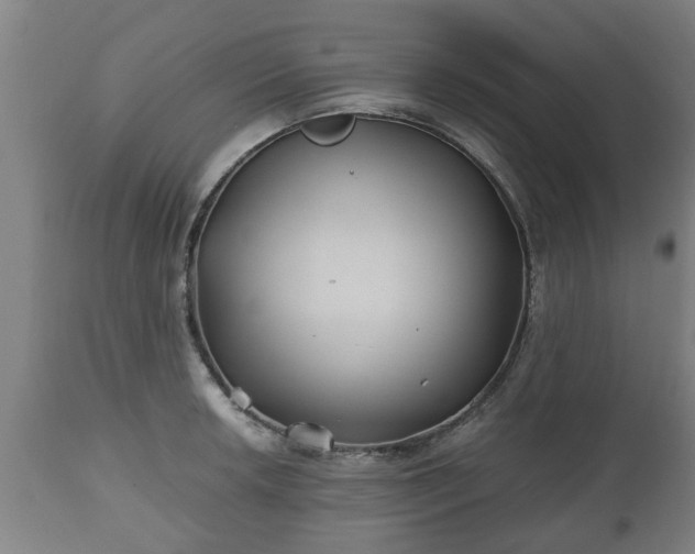 X0000110931042200906251328