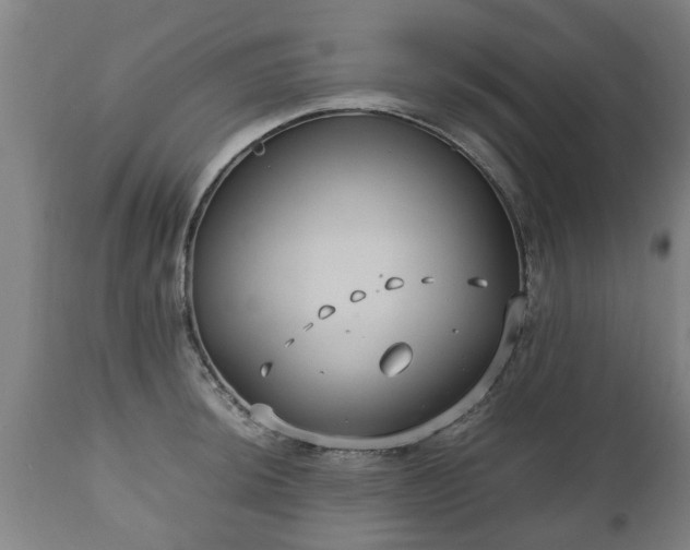 X0000110931044200906251328