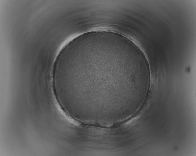 X0000110931045200906251328