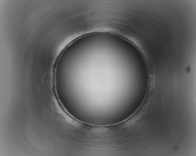 X0000110931046200906251328
