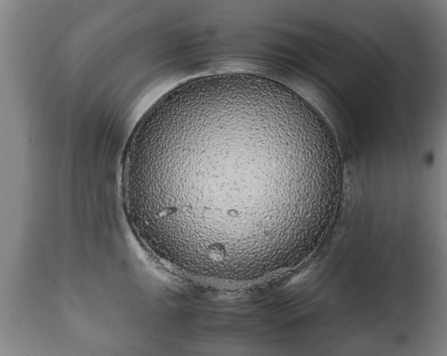 X0000110931047200906251328