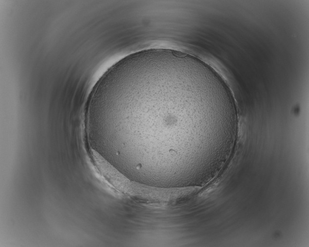 X0000110931048200906251328