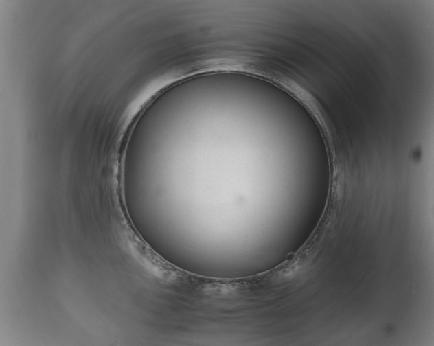 X0000110931051200906251328