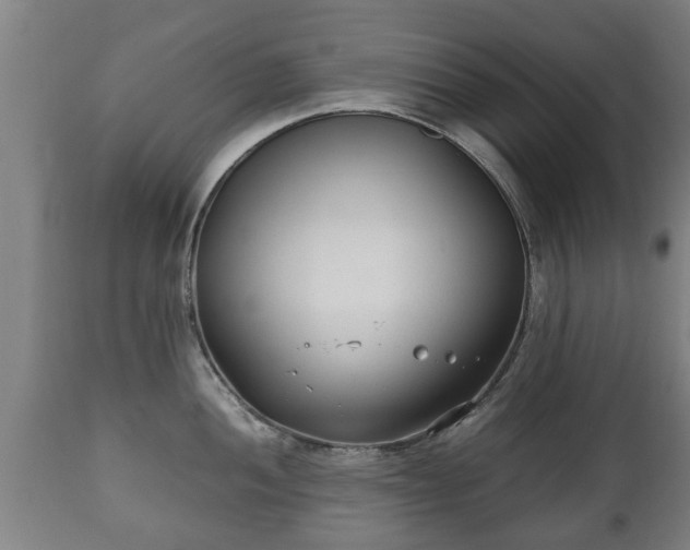 X0000110931052200906251328