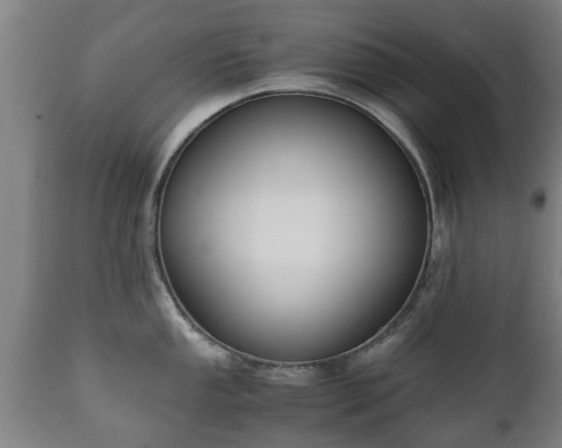 X0000110931053200906251328