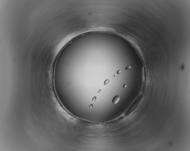 X0000110931054200906251328