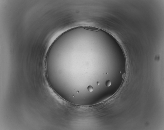 X0000110931056200906251329